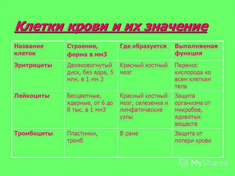 Функции клеток крови таблица. Клетки крови и их значение таблица. Кровь клетки крови и их функции.