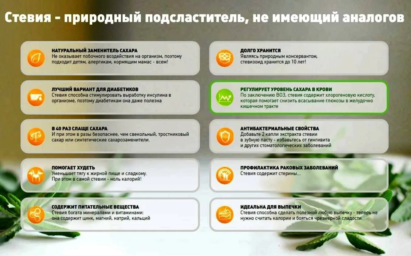 стевия полезные вещества. полезный сахарозаменитель стевия. экстракт крымской стевии 50 г. экстракт стевии польза и вред. стевия сахарозаменитель растение.