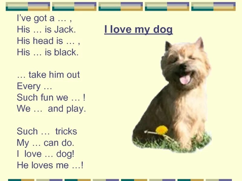 Стихотворение my Dog. I have got a Dog стих. I ve got Dog стих. I have a Dog стих. Dogs s names are