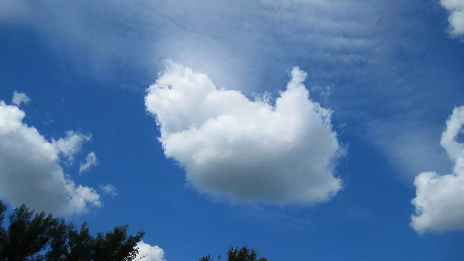 Облака. Облака похожие на животных. Разные облака. Облака причудливой формы. Облако неведомых