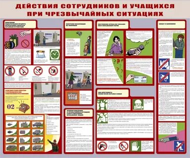 Алгоритм действий при возникновении чс
