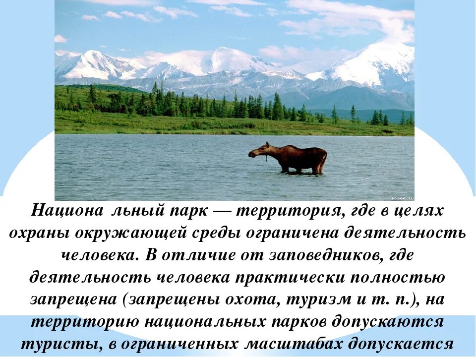 Где есть национальные парки. Заповедники и национальные парки России проект. Заповедники и национальные парки России 4 класс окружающий мир. О заповедниках и национальных парках России. Проект на тему национальные парки.