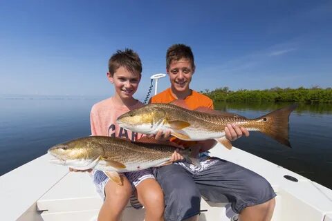 Fish family