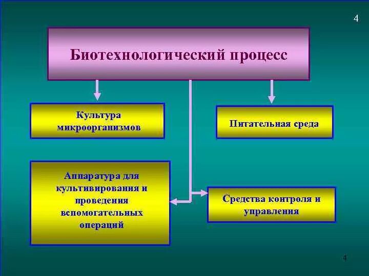 Биотехнология является. Биотехнологические процессы. Примеры биотехнологических процессов. Виды биотехнологические процессы. Биотехнологические процессы в биотехнологии.