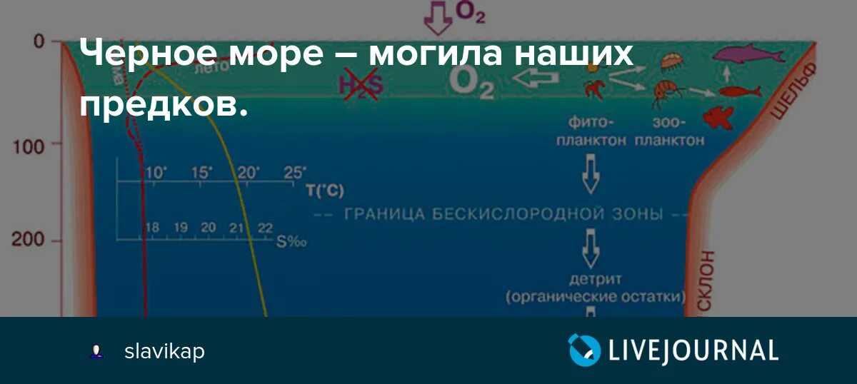 Море в котором горел сероводород. Сероводород в черном море. Черное море слой сероводорода. Черное море могила наших предков. Черное море сероводород схема.