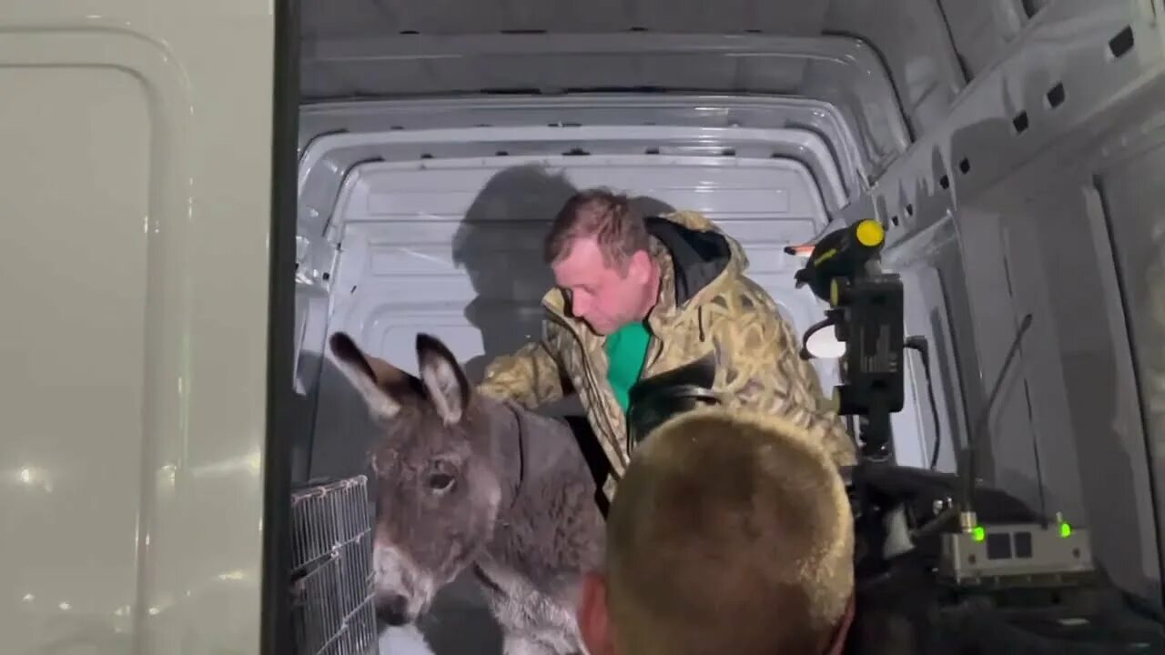 Олег зубков. Звери крыма. Мир с олегом зубковым и татьяной алексагиной. Мир с олегом зубковым и татьяной алексагиной. Мир с олегом зубковым и татьяной алексагиной.