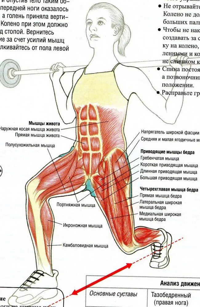 Как накачать внутренние мышцы. Упражнения для мышц ягодиц. Упражнения для мышц бедра. Упражнения на большую ягодичную мышцу. Упражнения на боковые мышцы ягодиц.