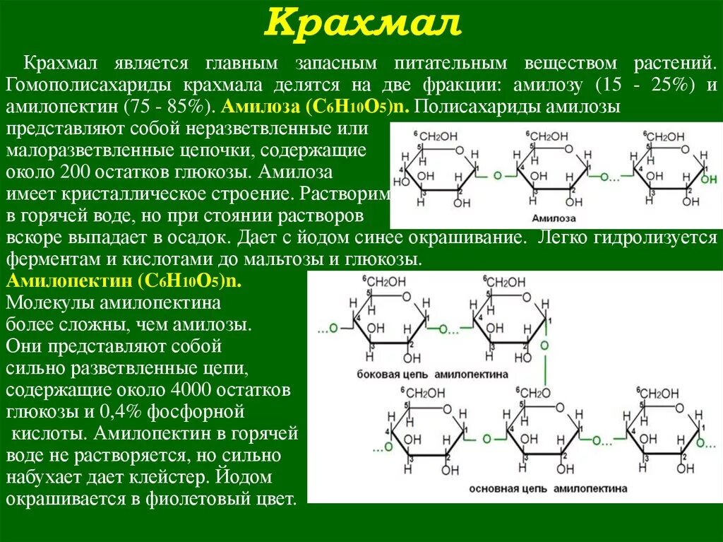 Строение фракций крахмала. Амилоза полисахарид формула. Крахмал формула амилоза и амилопектин. Гомополисахариды (крахмал, гликоген, клетчатка).