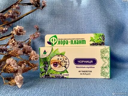 Плант производитель