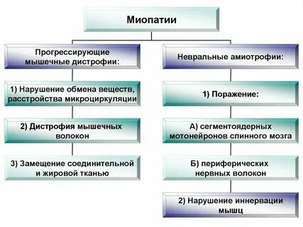 Патогенез дистрофии