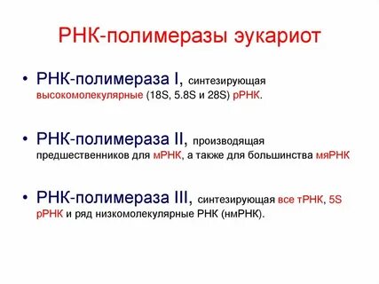Фермент катализирующий синтез рнк