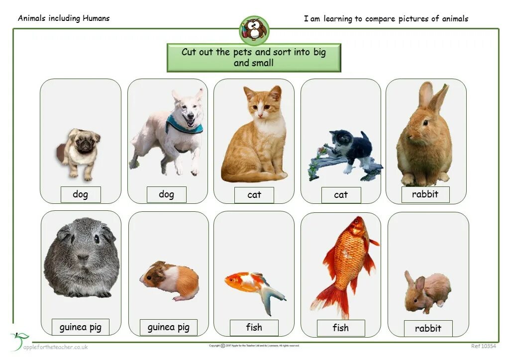 Compare small. Животные big small. животные big and small карточки. compare animals. animals comparison.