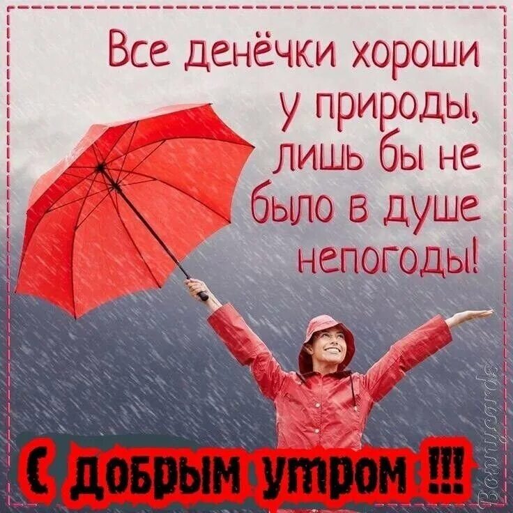 В любую погоду удачи и счастья. Доброе утро в любую погоду. Отличного на троения не смотря на погрду. Пожелания в пасмурный день. Хорошего настроения в любую погоду.