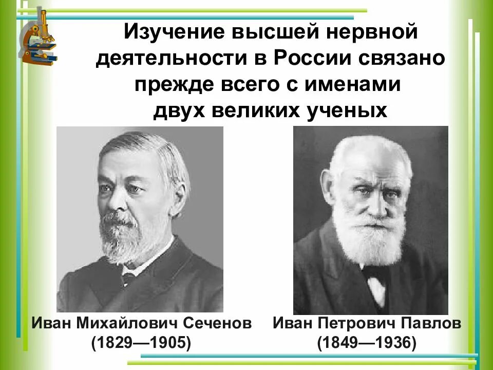 Наука о высшей нервной деятельности