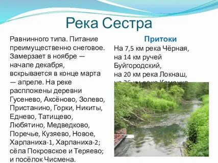 Где протекает река сестра