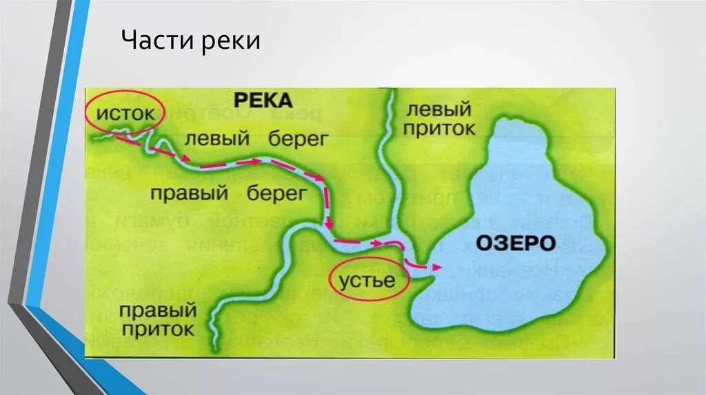 Река составные части реки. Схема реки Исток приток Устье. Исток Устье правый и левый приток реки. Устье реки Исток приток окружающий мир 3 класс. 12 части рек