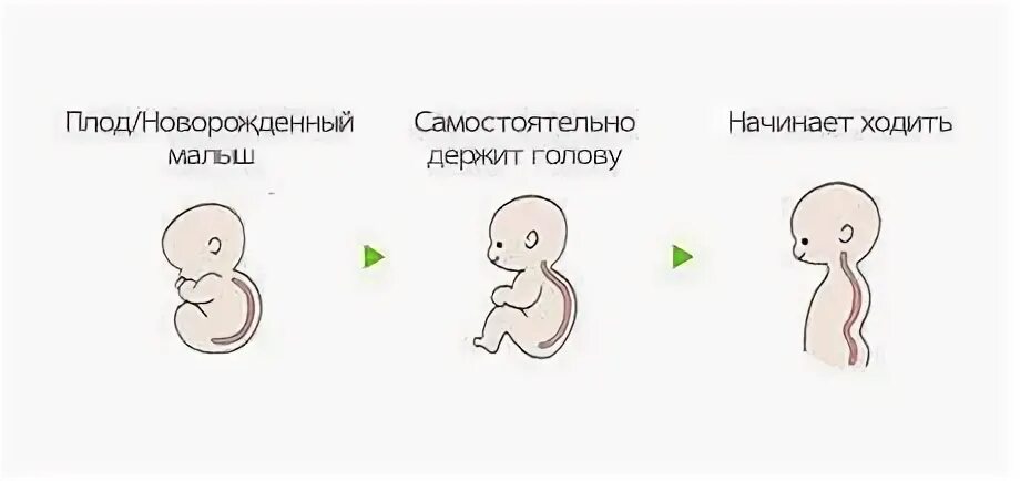 Когда девочка начинает ходить самостоятельно. Когда девочка начинает ходить самостоятельно