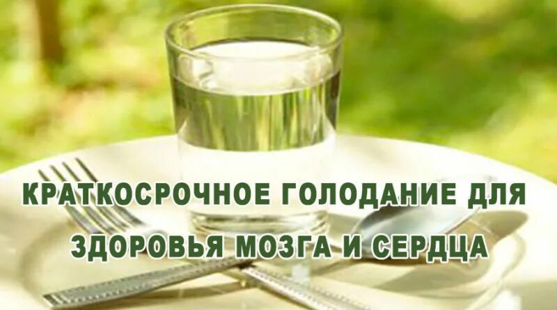 Целебное голодание. Диета лечебное голодание. Голодание. Голодание для здоровья. Голодание для здоровья.
