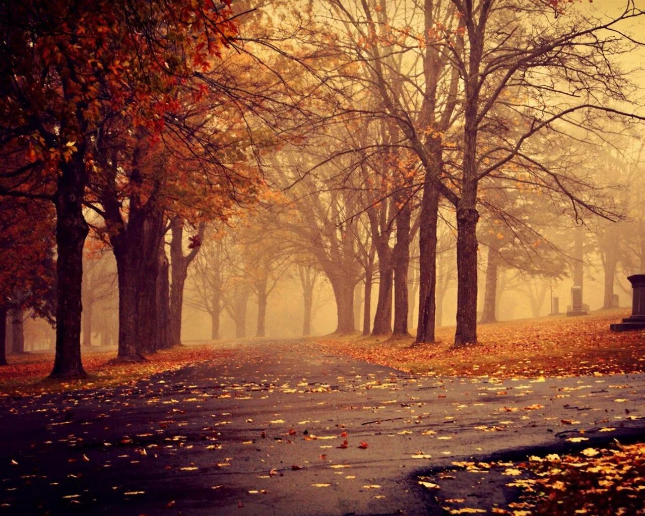 In autumn it is often. Привет октябрь. Фон осень. Привет октябрь картинки. Привет октябрь цитаты.