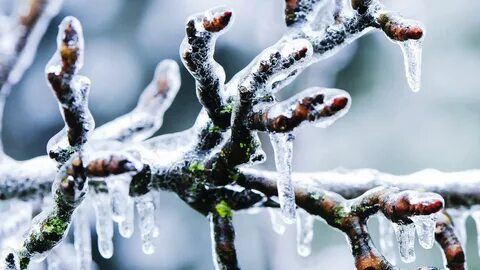 Доброе утро ледяной дождь