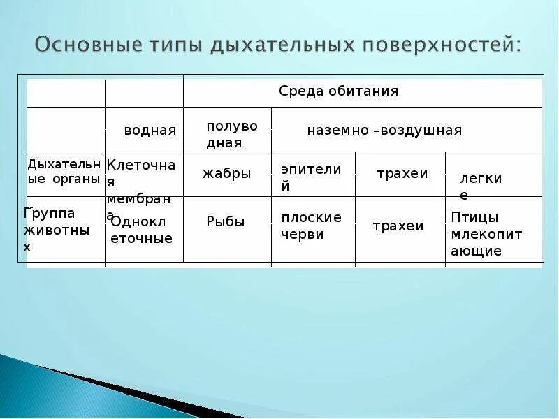 Органы газообмена у животных. Среда и органы дыхания животных. Типы дыхания у животных. Органы дыхания животных таблица.