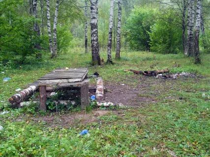 Видели в лесу родник с оранжевыми
