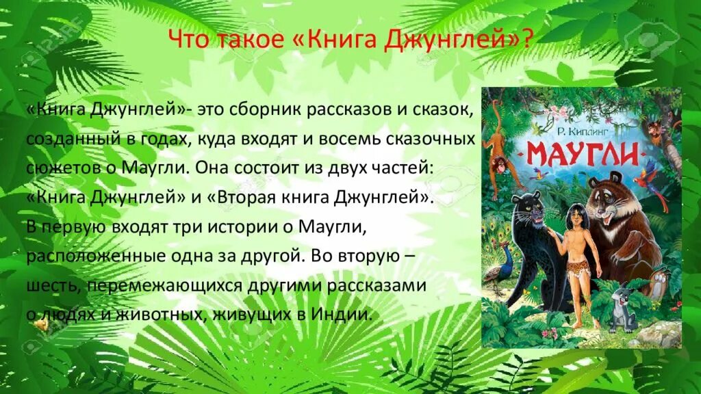 Закон джунглей книга 8. Закон джунглей Киплинг. Законы джунглей Маугли. Законы джунглей из сказки Маугли. Книга законов джунглей.