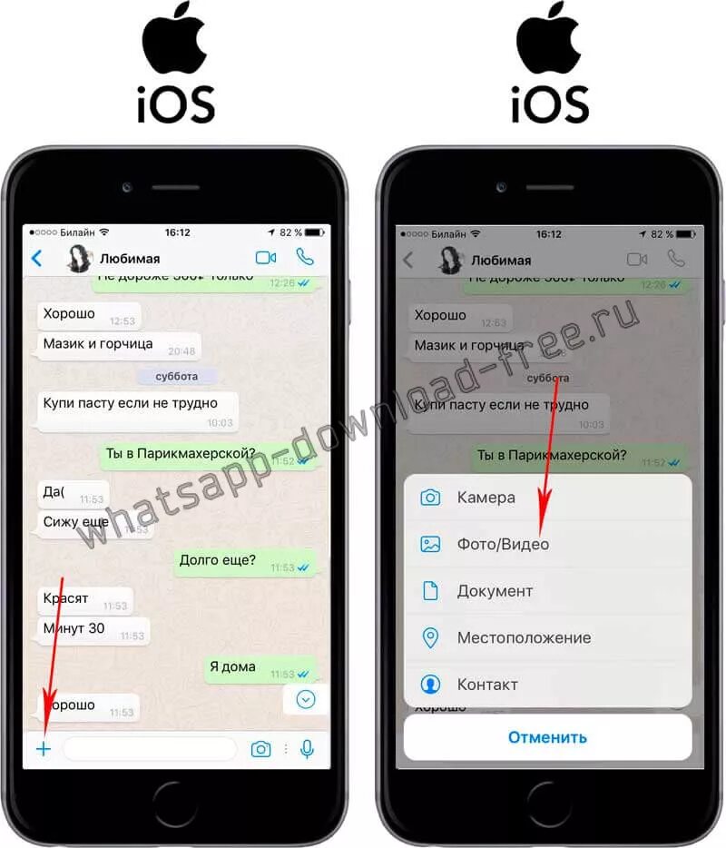 Как отправить в вацапе фото. Ватсап на айфоне. WHATSAPP как отправить фото. Как отправить фото с ватсапа в галерею. Отправить документы по ватсапу