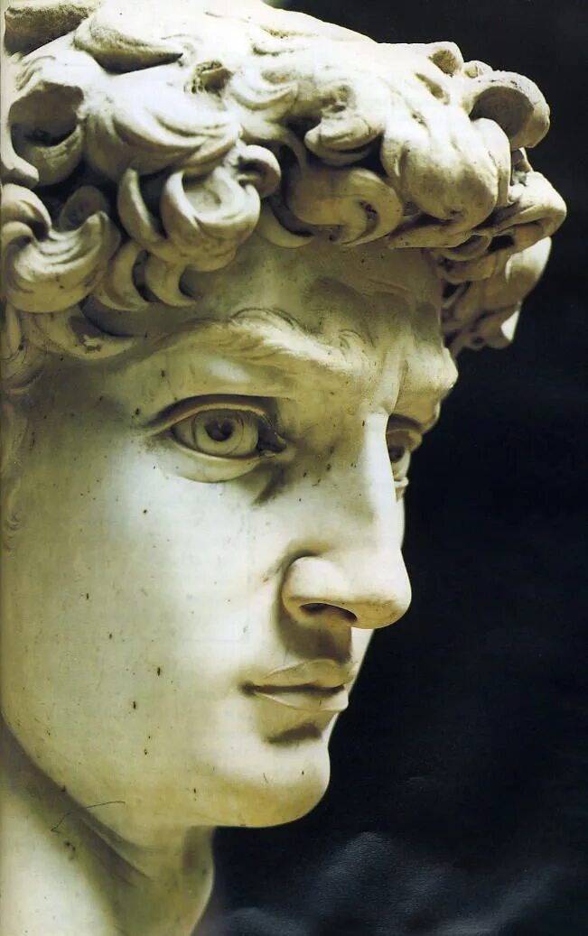 Голова на греческом. Бюст Давида Микеланджело.