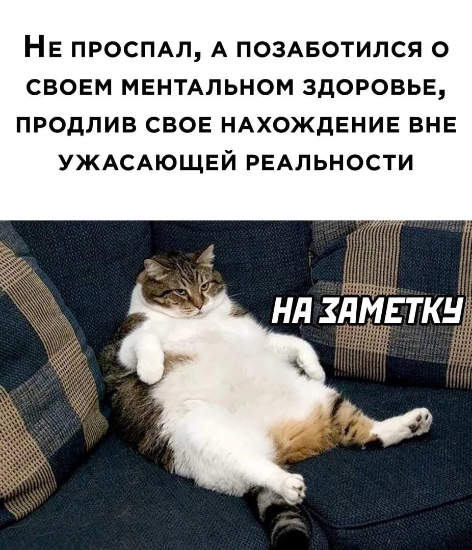 Проспала картинки. Проспала юмор. свежий юмор. проспал прикол.
