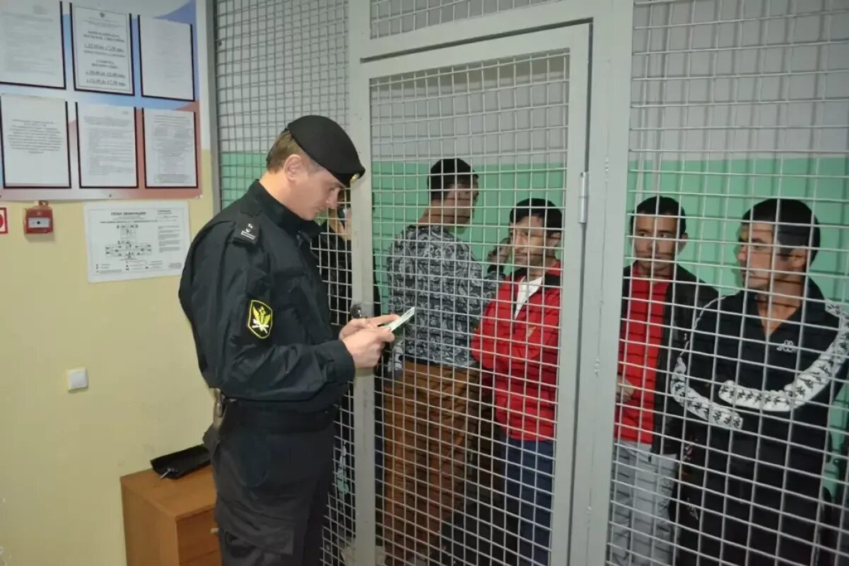 Депортация иностранных. Суд мигранты. выдворение из россии. депортация мигрантов. выдворение иностранных граждан.