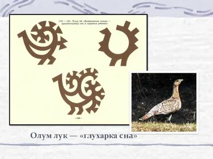 Ханты солнце