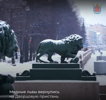 Лев вернулся
