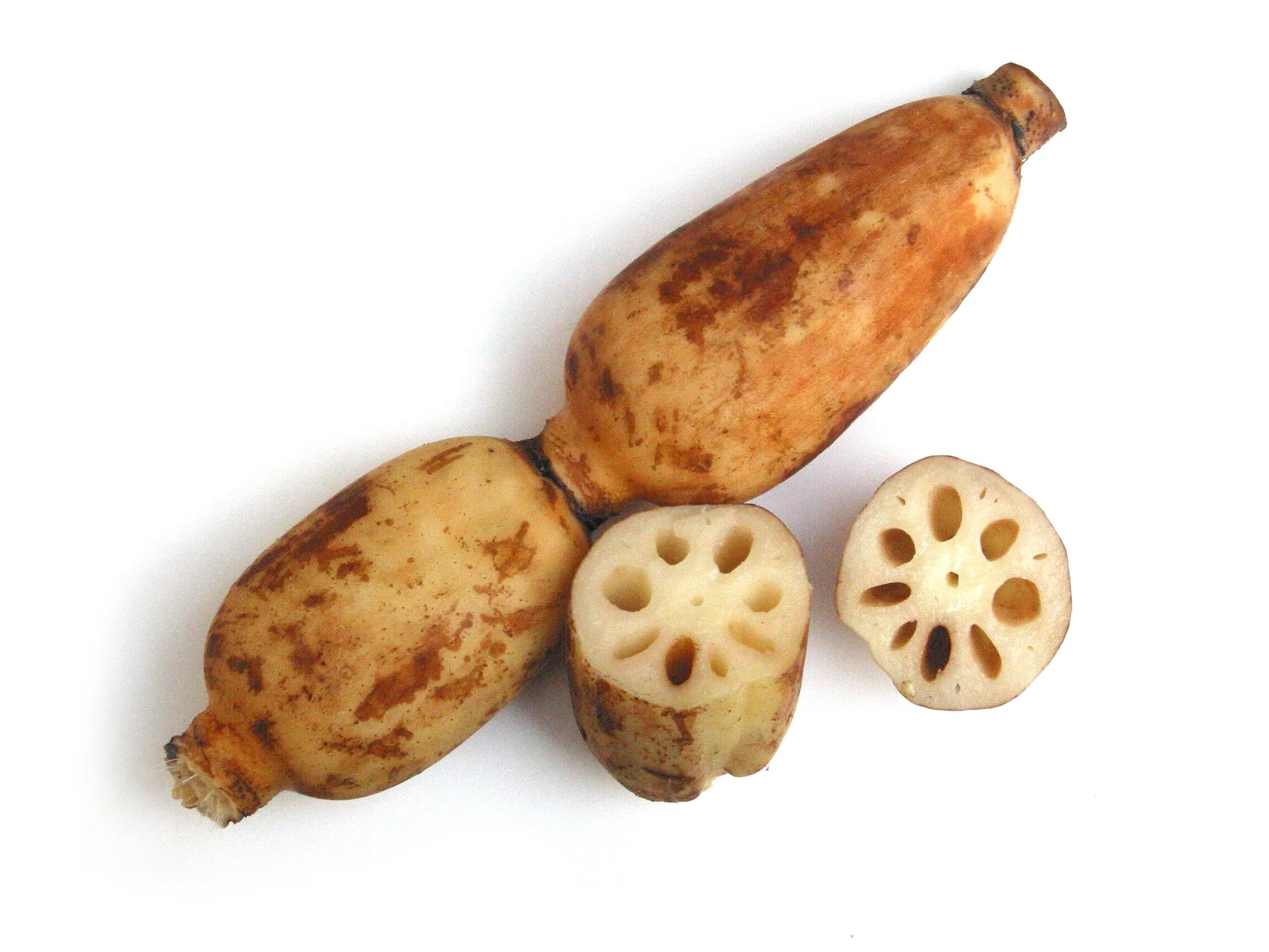 Свекла сахар. Сахарная свекла для сахара. Шалгам таджикский. Овощи корнеплоды на черном фоне. Испанский черный редис.