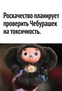 В кукле оказался ядовитый