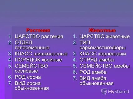 Систематическое ответ 1