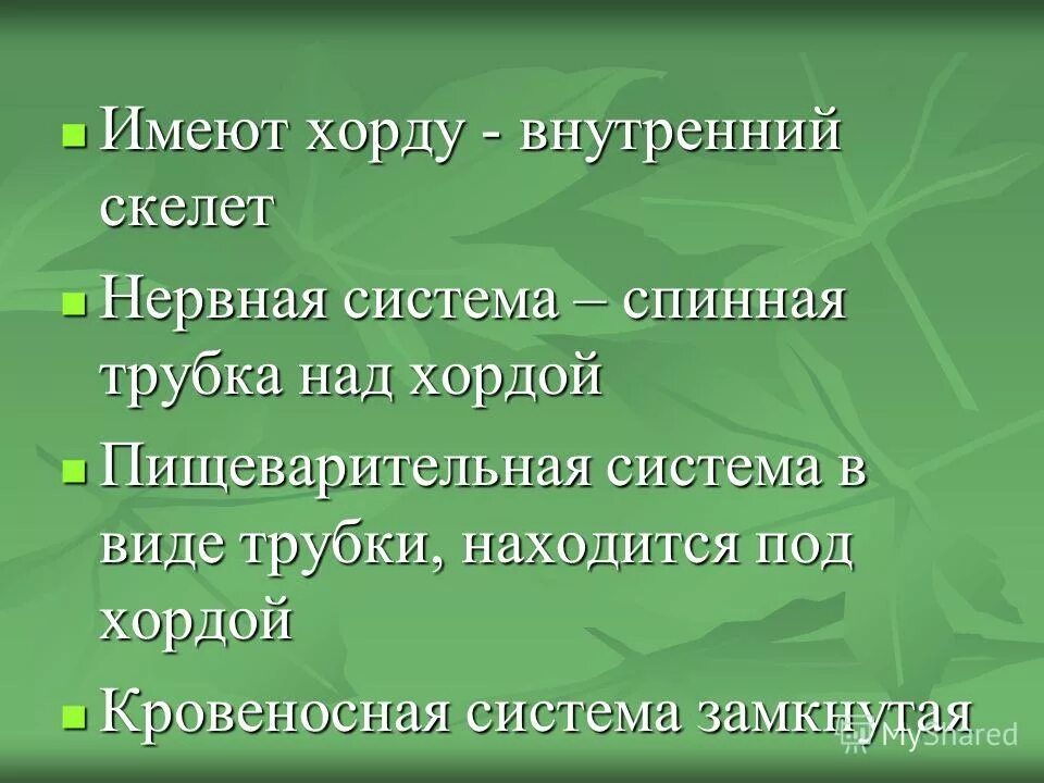 Хордовые имеют скелет. 1. Хордовые имеют _________________ скелет.. Внутренний скелет главный признак. Имеют внутренний скелет (хорду или позвоночник).