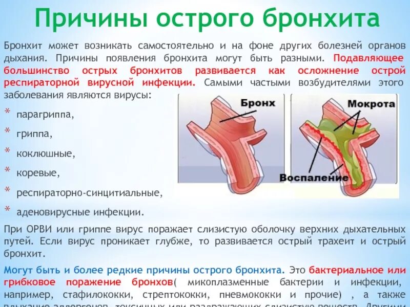 Трахеобронхит лечение у взрослых с кашлем. Острый бронхит причины возникновения. Острый трахейный бронхит. Осложнения острого бронхита у детей.