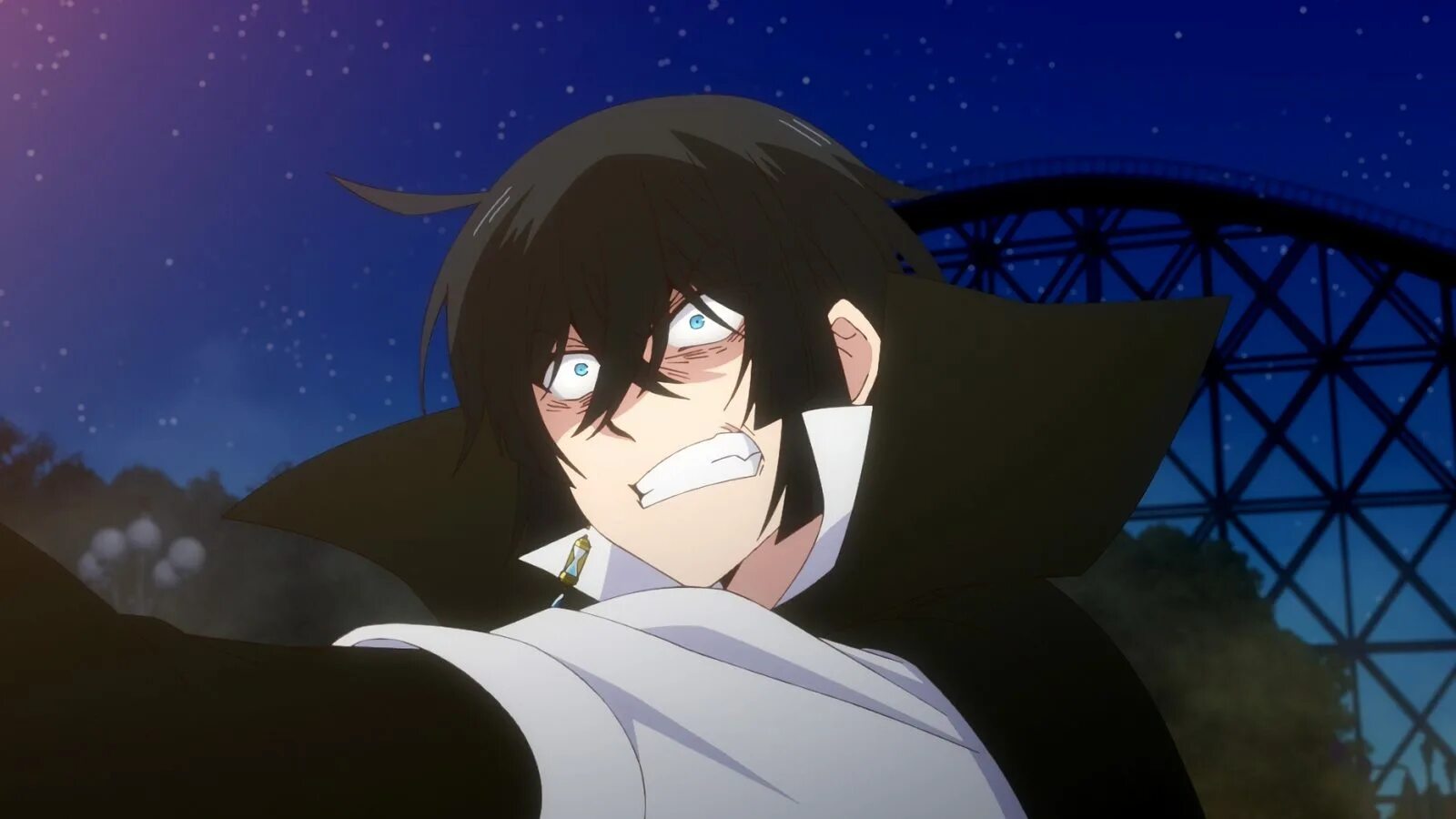 Case of vanitas. Case of vanitas