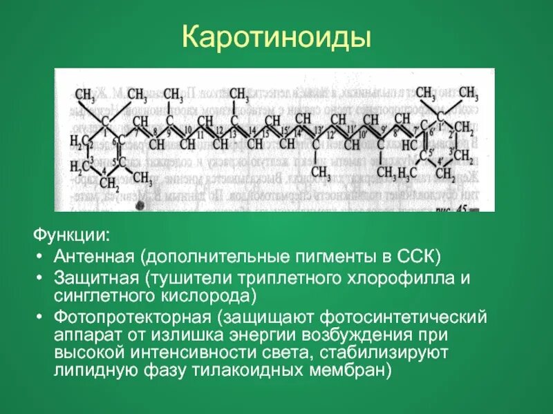 Каротиноиды структура молекул и функции. Строение молекул каротиноидов. Структура каротиноидов. Каротиноиды формула.