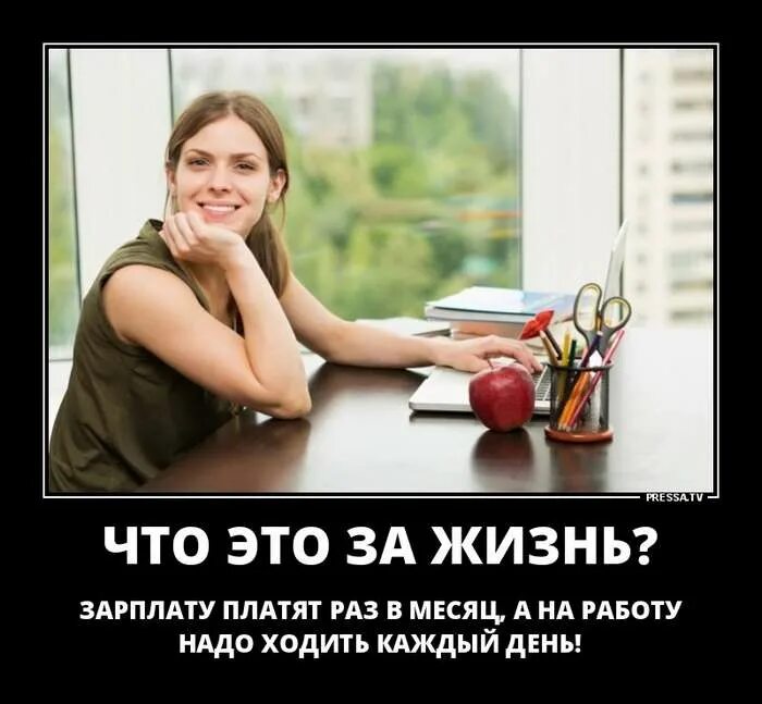 2 недели на новой работе