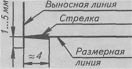 Выносные размерные линии стрелки