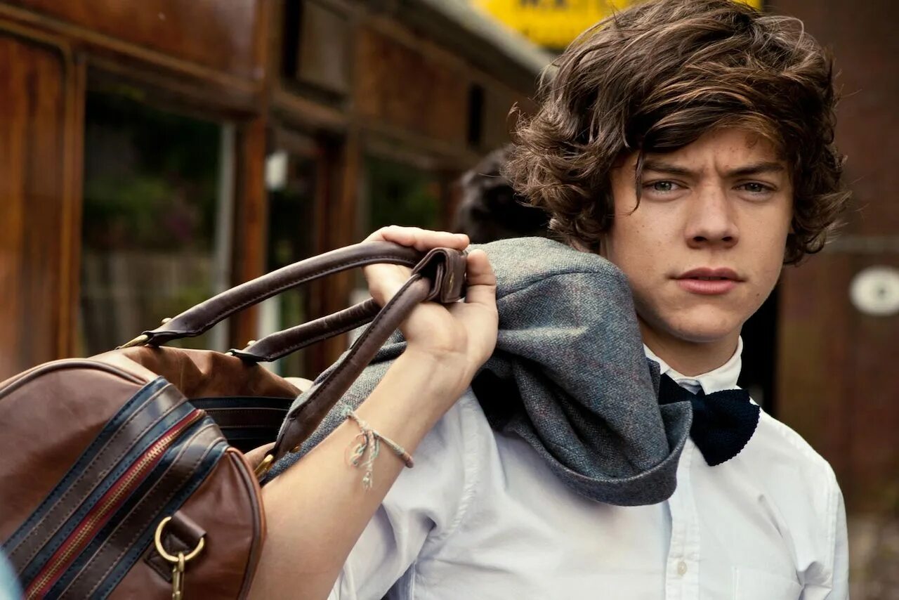 Гарри стайлс 2014. Интерьер с фермой ласточка. Гарри и марв. Harry home. Harry styles house.