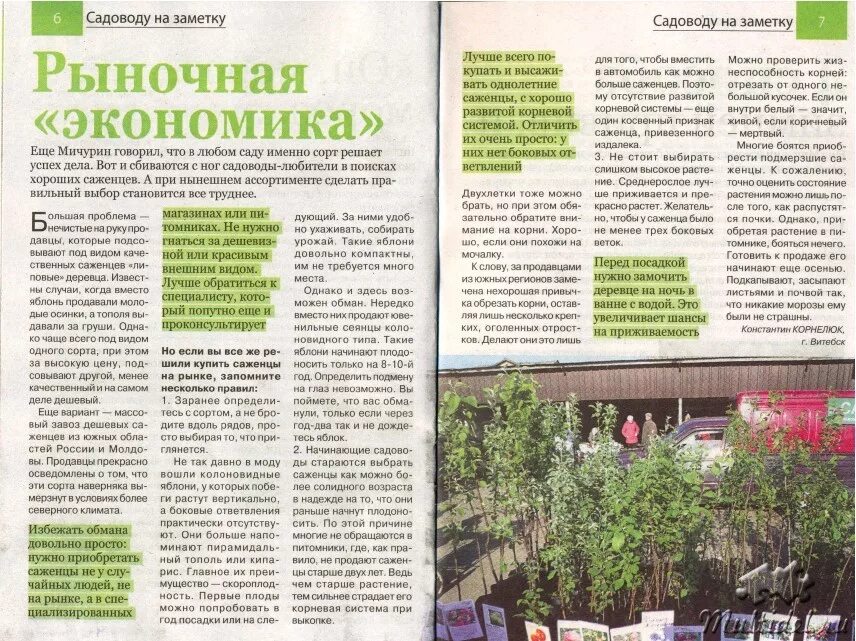 русад рф магазин саженцев отзывы. саженцы 13 интернет магазин. садоводов 52. ярмарка саженцев. садовод профессия фото.