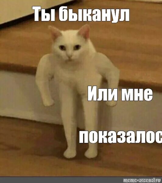 Мне показалось ты с ней. Скажи честно ты. Мне показалось ты с ней. Какая я на первый взгляд. Все налаживается цитаты.