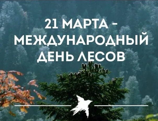 21 международный день леса. Международный день лесов. Международный день леса (International Day of Forests).
