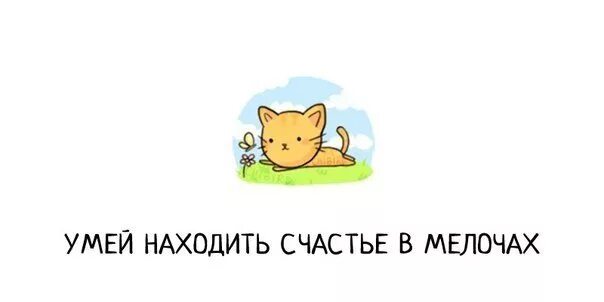 Счастьев поочтых вещах. Счастьев поочтых вещах. Счастье в мелочах стихи. Прекрасное в мелочах цитаты. Счастье в мелочах цитаты.