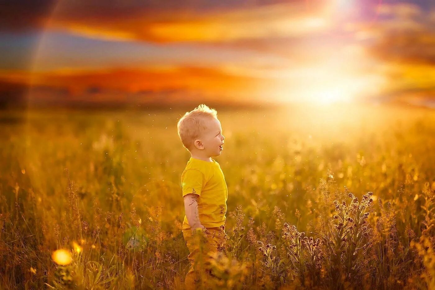 Ловлю лучи. Дитя солнца. Малыш в лучах солнца. Детство солнце. Лучи солнца для детей.