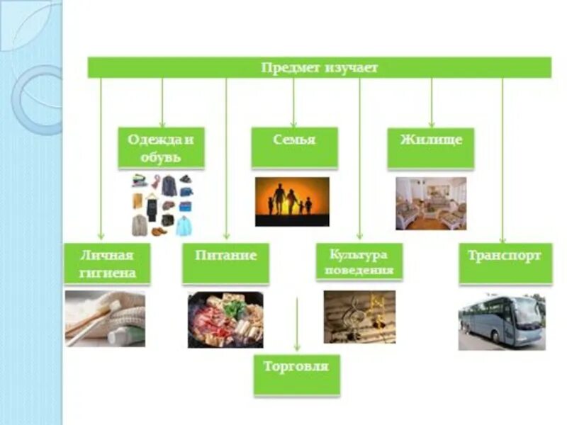 Какие предметы он изучает. Какие предметы он изучает