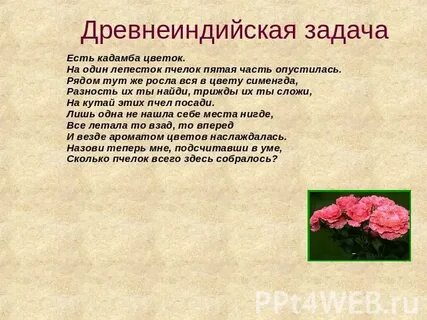 Задача про цветы 5 класс